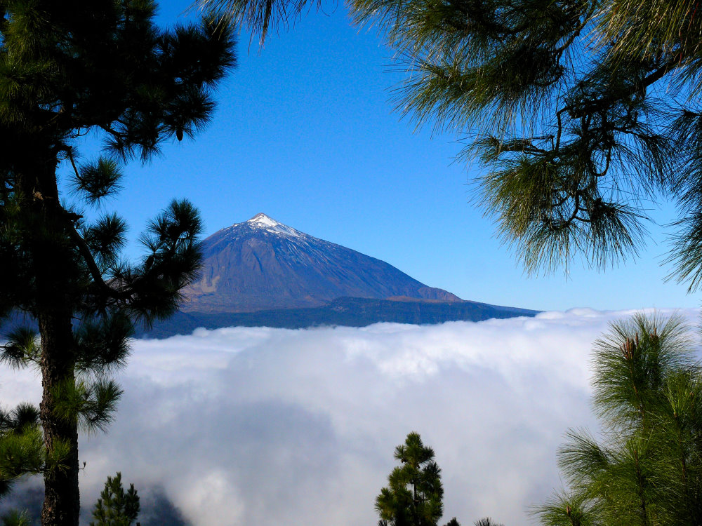 zwei Brüder Teide und Passat