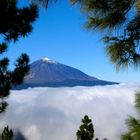 zwei Brüder Teide und Passat