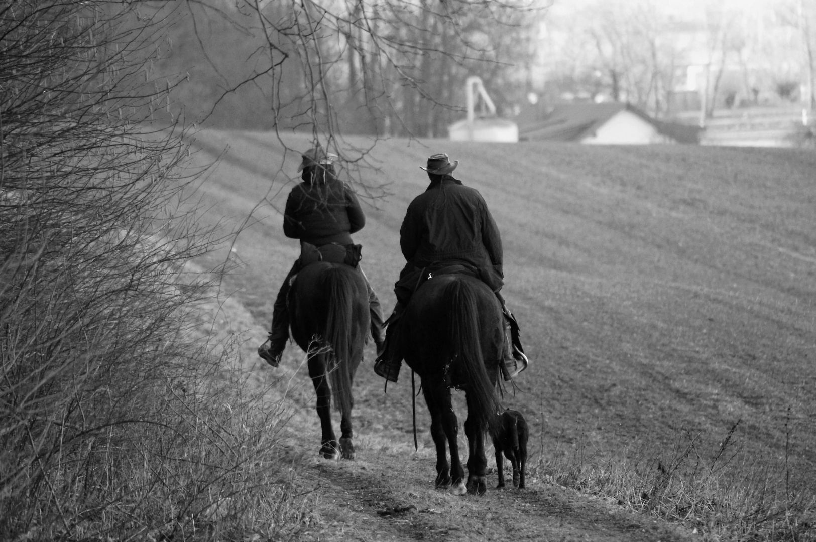 Zwei Cowboys auf den Hund gekommen! S/W