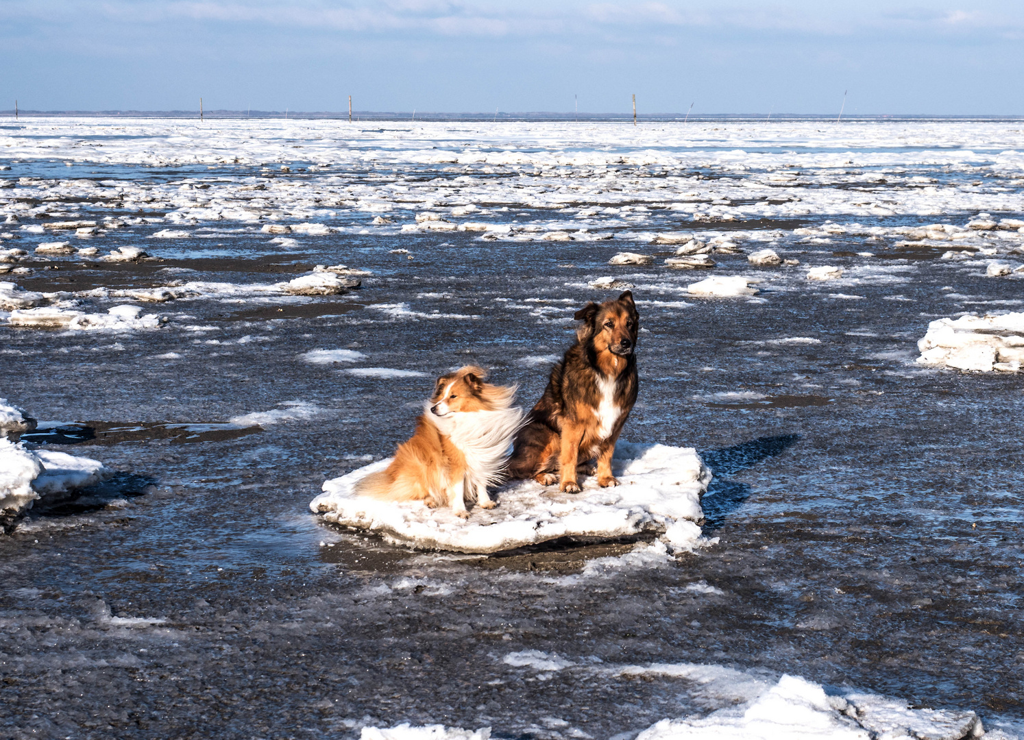 Zwei, die den Winter mögen.