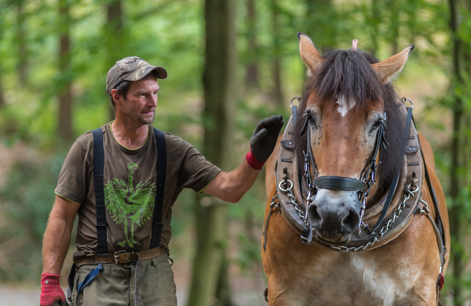 zwei die im Wald arbeiten