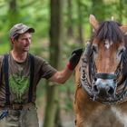 zwei die im Wald arbeiten