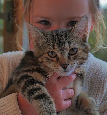 zwei, die sich gut verstehen