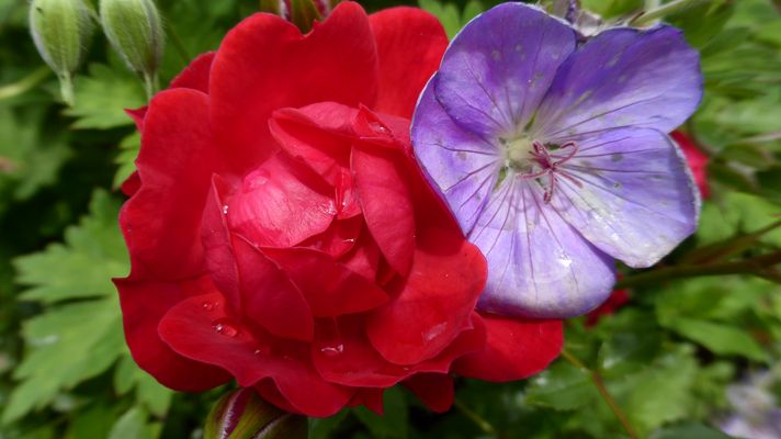 Zwei die sich mögen