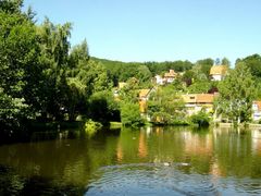 Zwei Enten schwimmen um die Wette