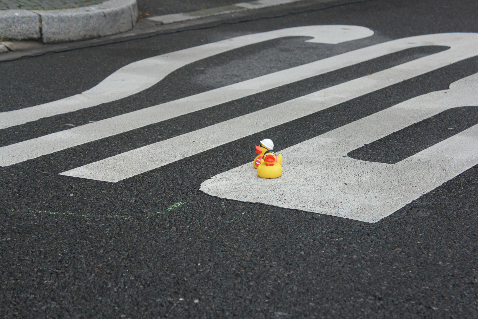 Zwei Enten warten auf den Bus