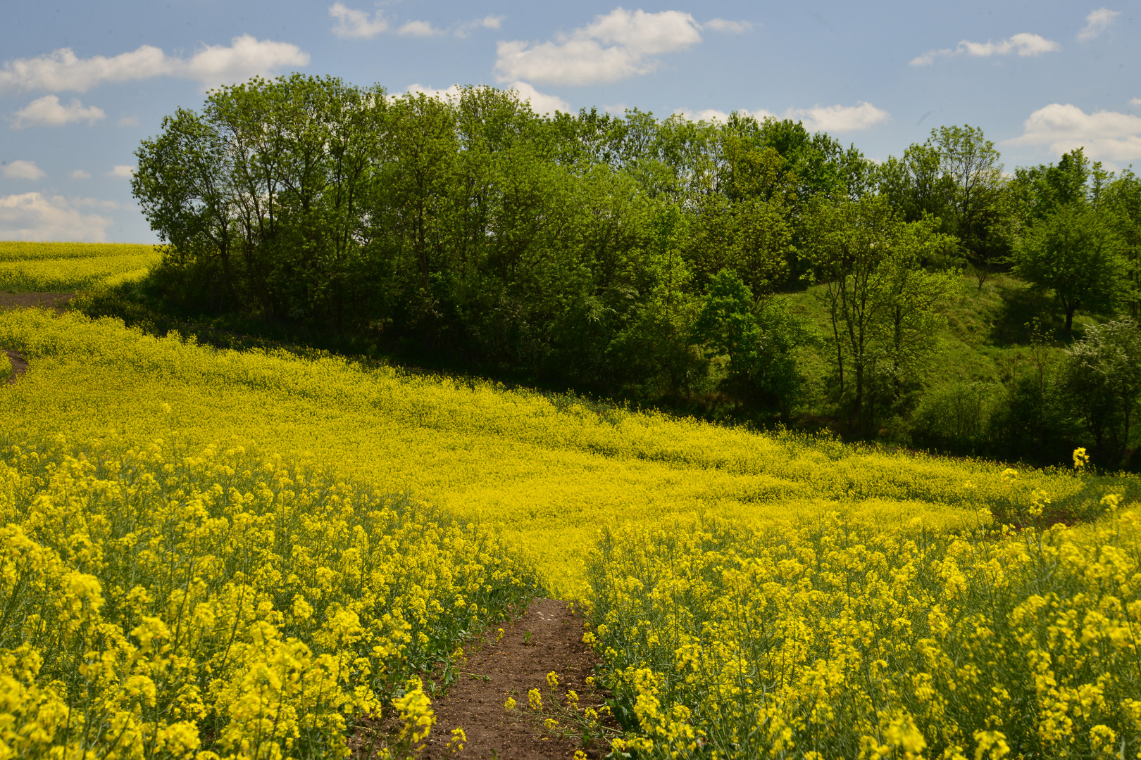 zwei Farben