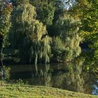 zwei Fischer am Teich