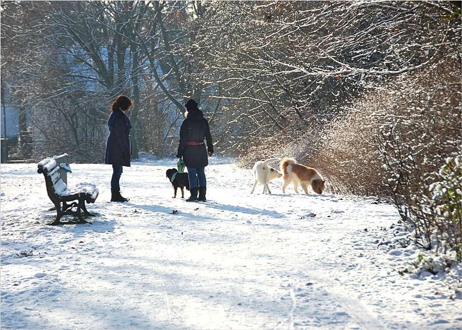 Zwei Frauen, drei Hunde