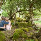 Zwei Frauen im Wald