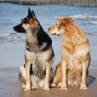 Zwei Freunde am Strand