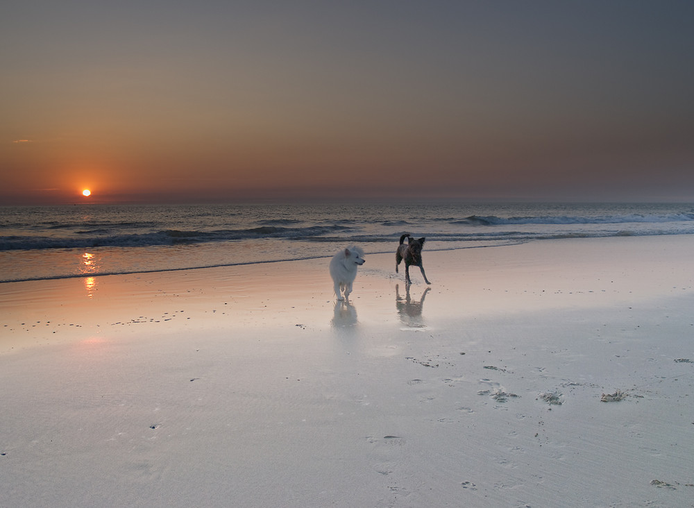 Zwei Freunde am Strand