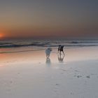 Zwei Freunde am Strand