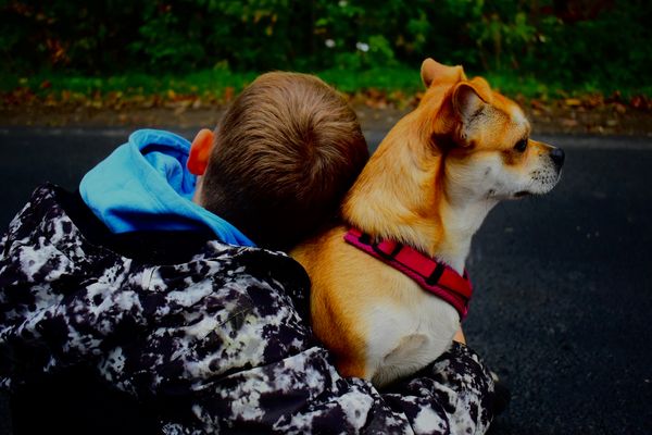 Zwei Freunde, eine Reise