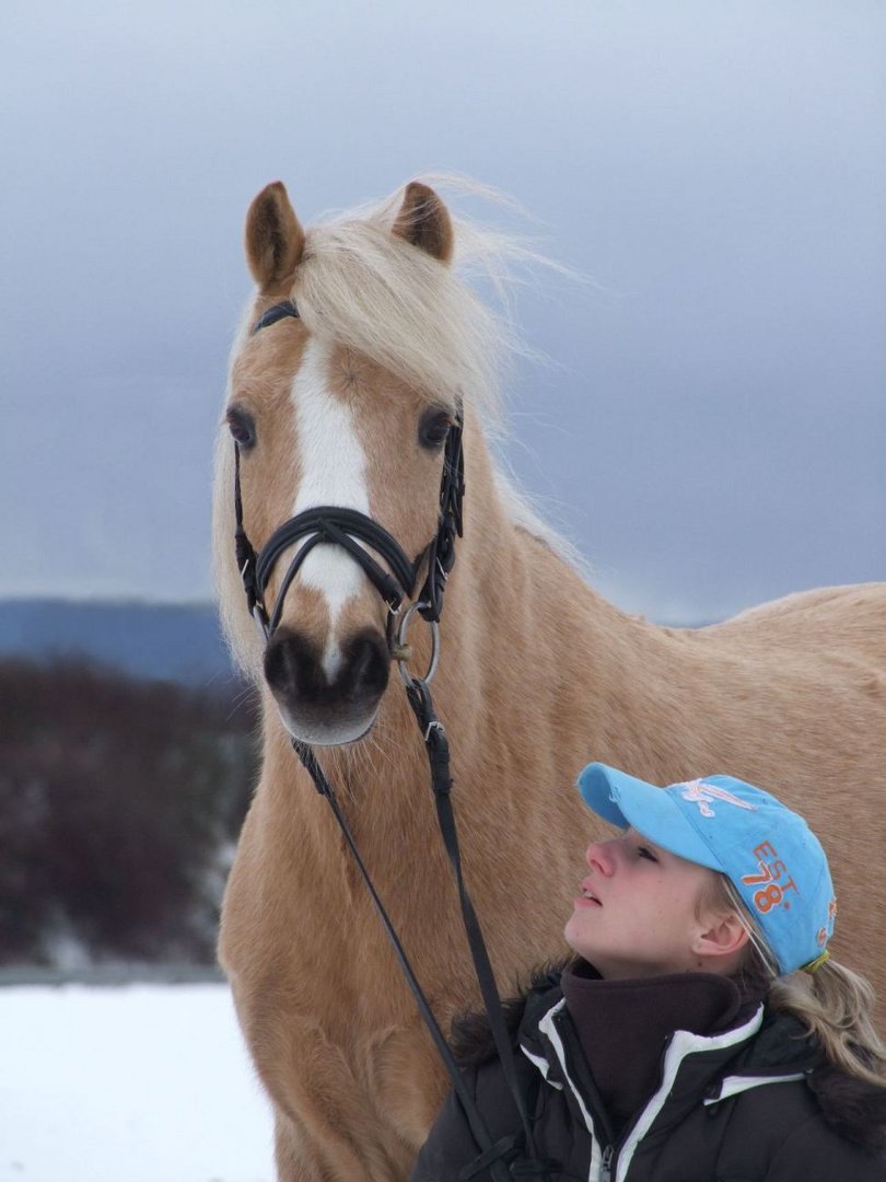 Zwei Freunde im Schnee