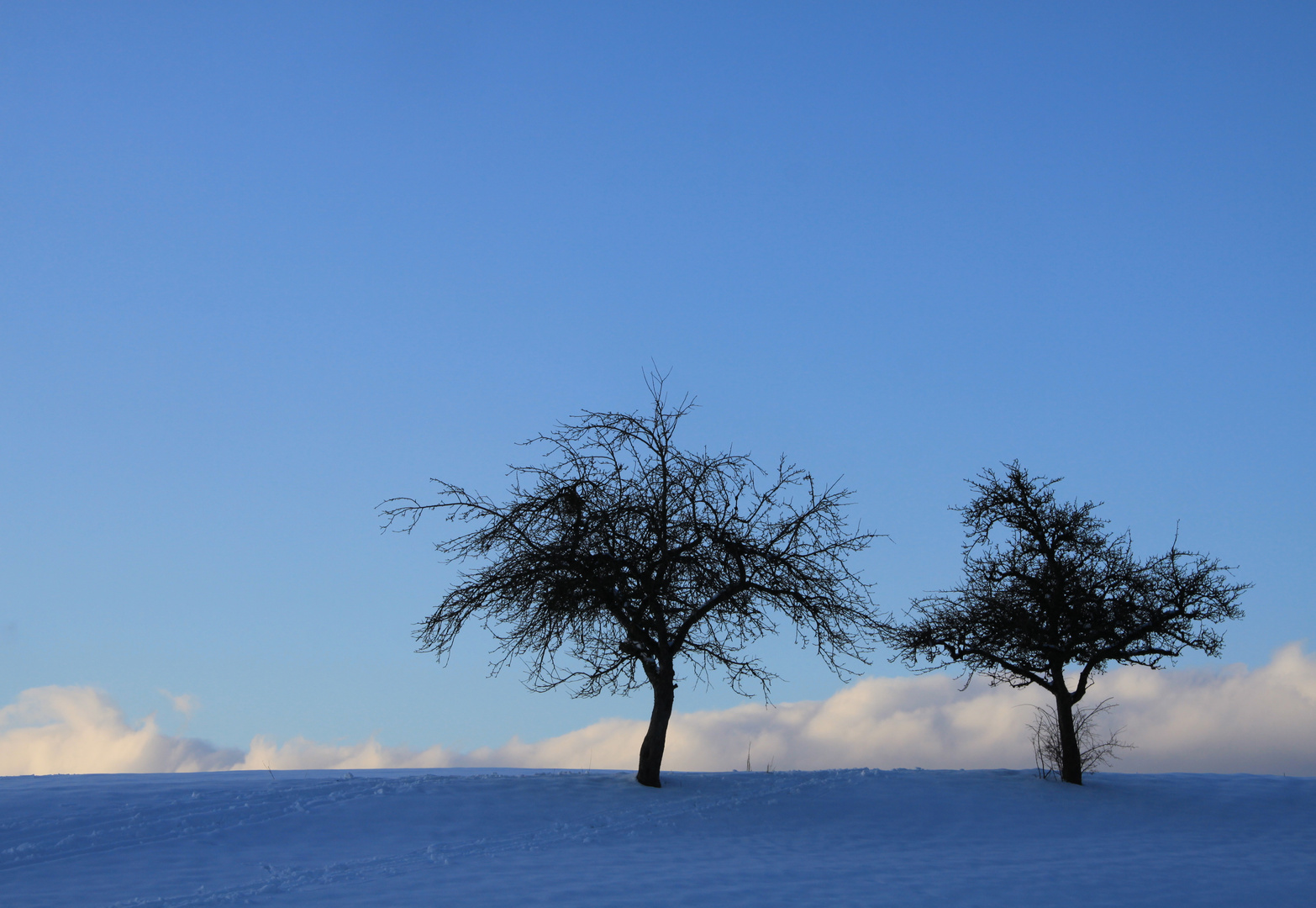 "Zwei Freunde im Schnee"