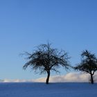 "Zwei Freunde im Schnee"