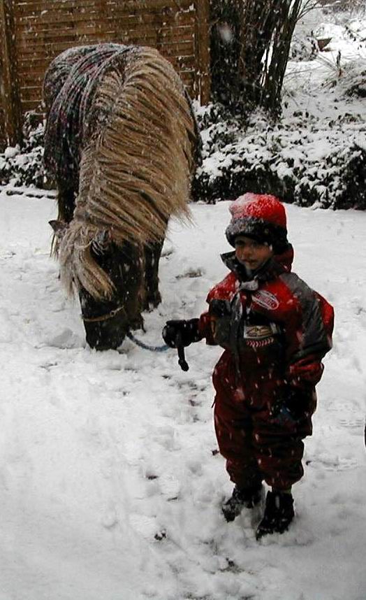 Zwei Freunde im Winter