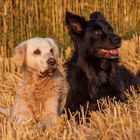 Zwei Freundinnen in der Abendsonne