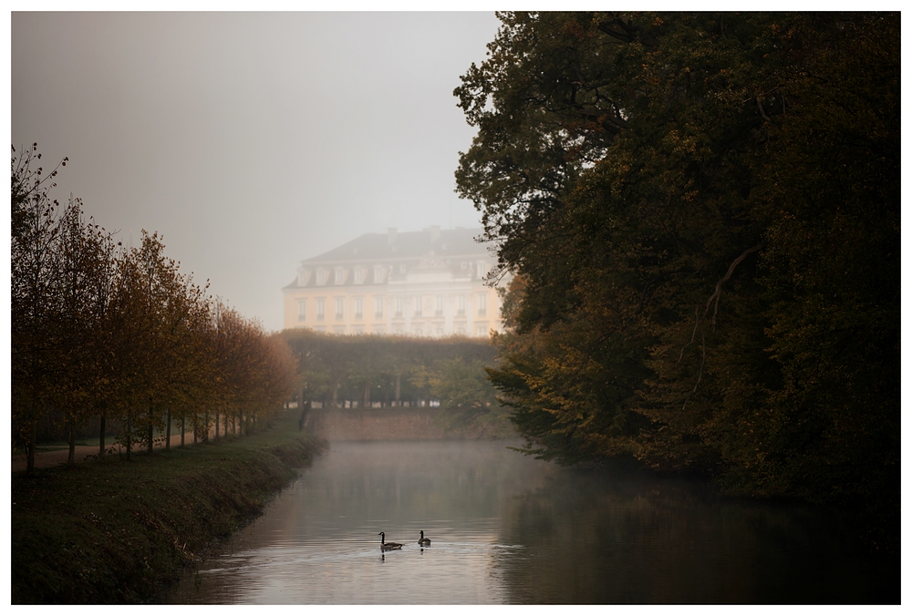 Zwei Gänse am Nebelschloss