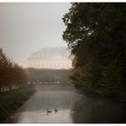 Zwei Gänse am Nebelschloss