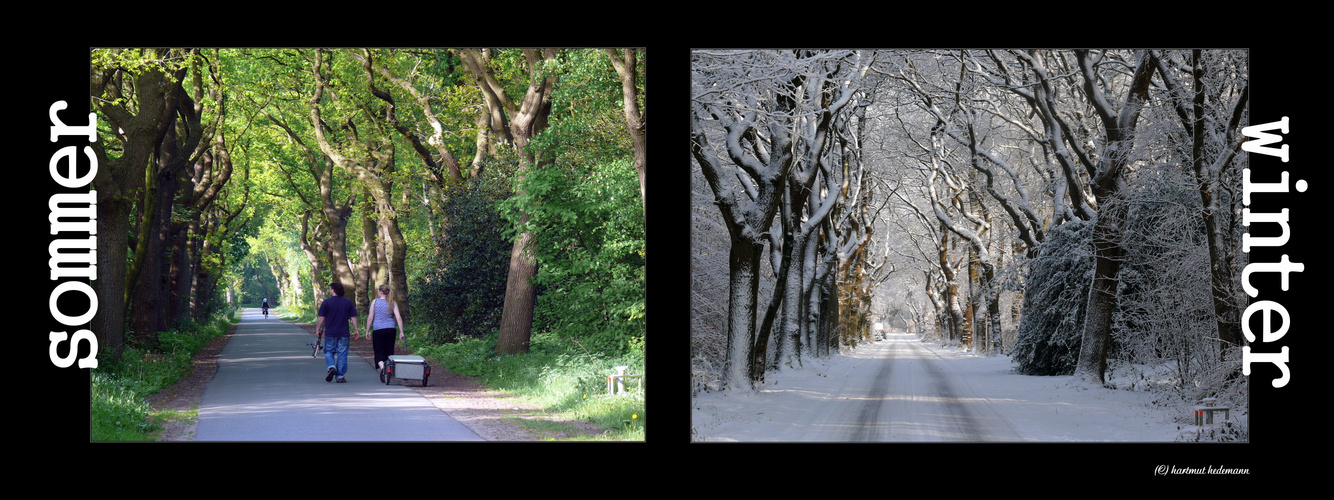 zwei gesichter sommer & winter