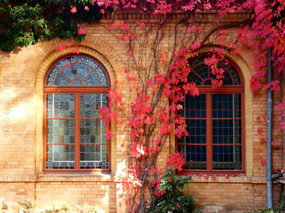 zwei große Fenster