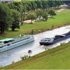 Zwei große und ein kleines auf dem Neckar