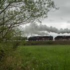 zwei Grossohren bei bescheidenem Wetter