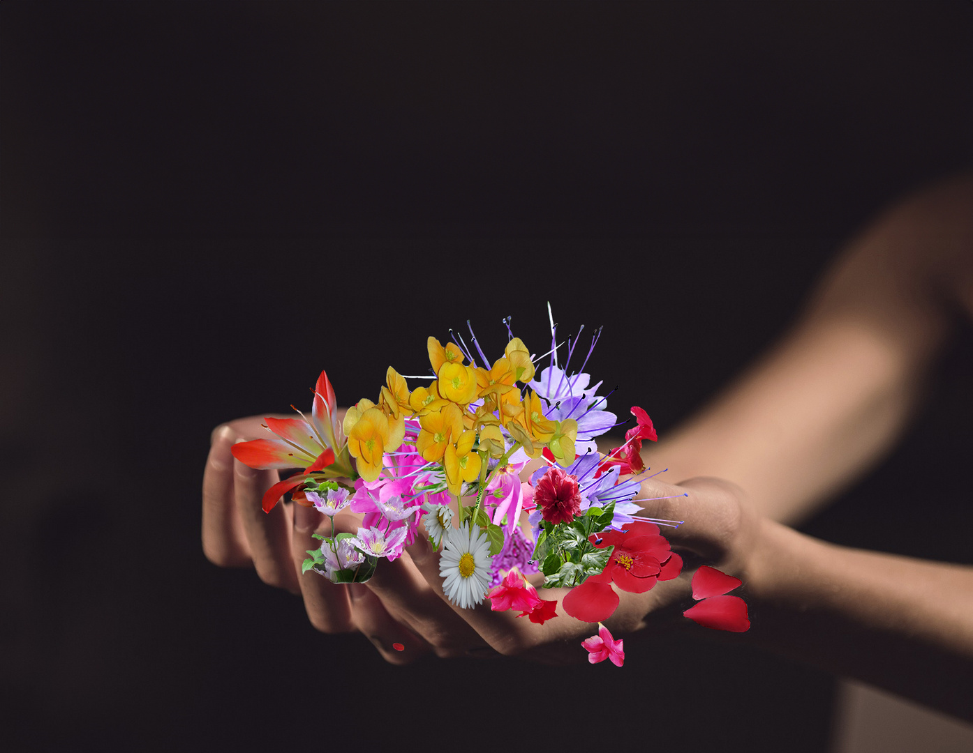 Zwei Hände voller Blüten