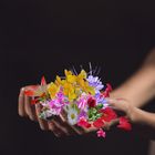 Zwei Hände voller Blüten