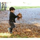 zwei Hände voller Herbst