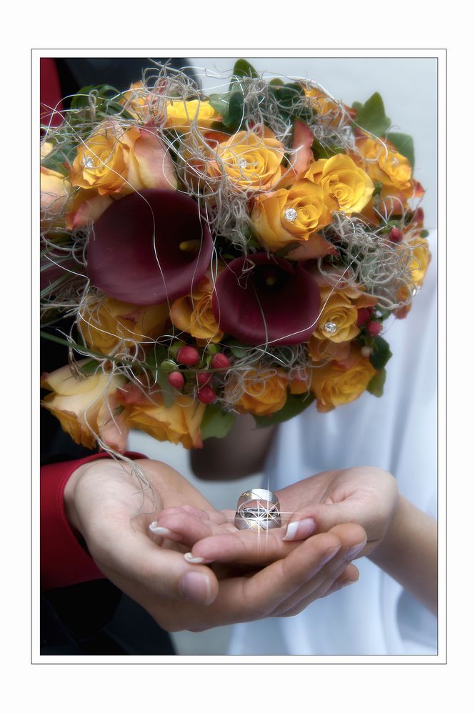 Zwei Hände, zwei Ringe, ein Versprechen gegeben Foto & Bild hochzeit
