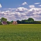 Zwei Häuschen im Kornfeld.