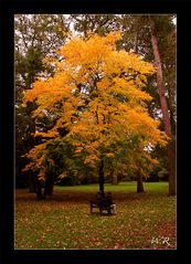 Zwei Herbstgenieser...