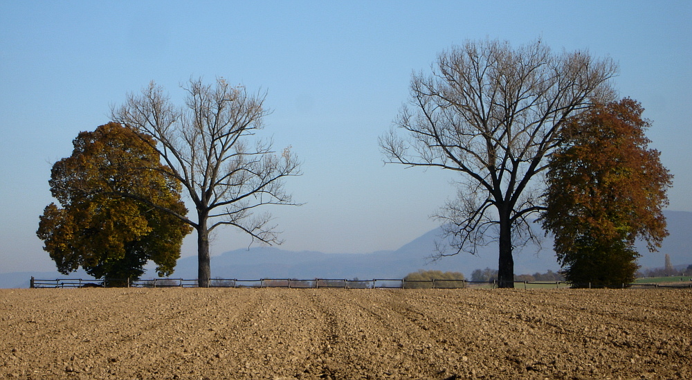 zwei herbstliche Paare