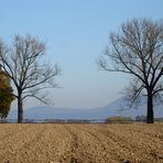 zwei herbstliche Paare