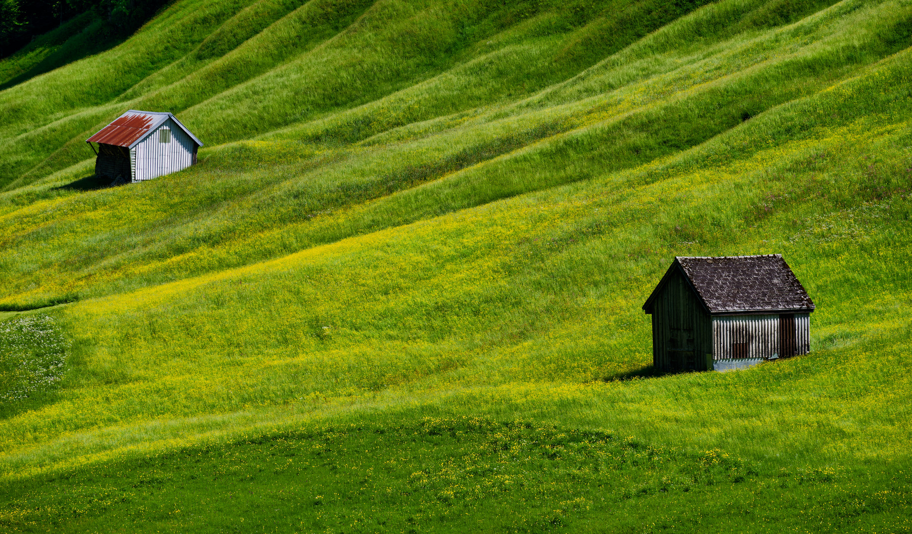 Zwei Hütten zwischen viel Grün