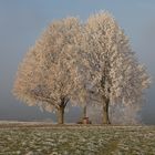 zwei im Abendlicht