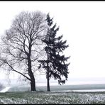 Zwei im Nebel