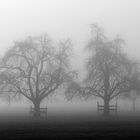 zwei im nebel