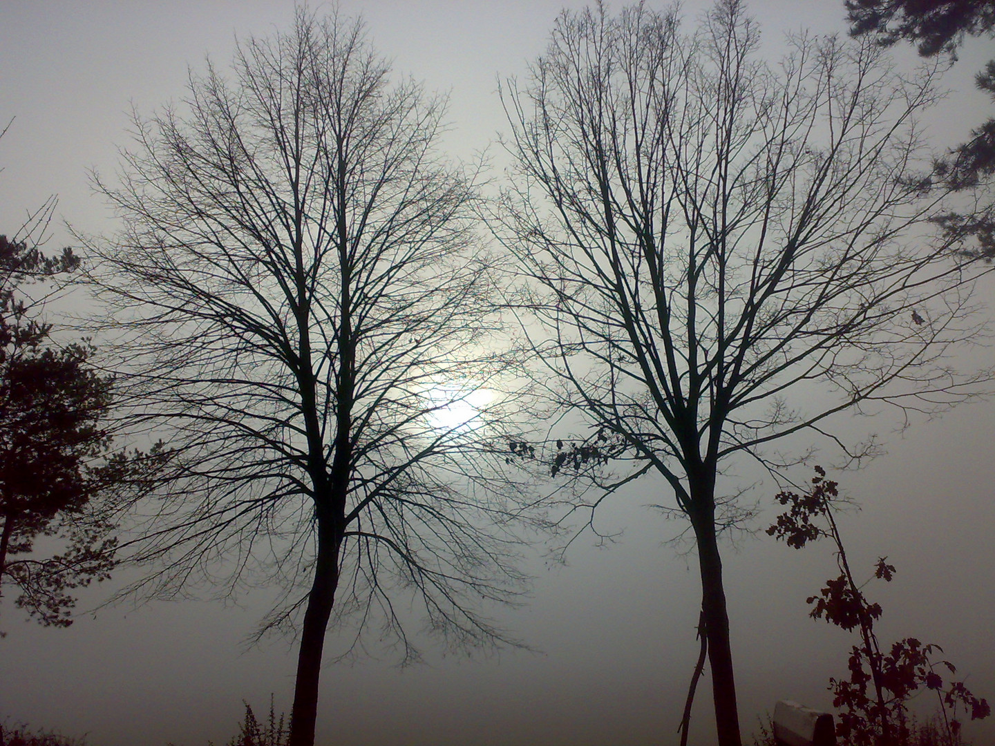 Zwei im Nebel