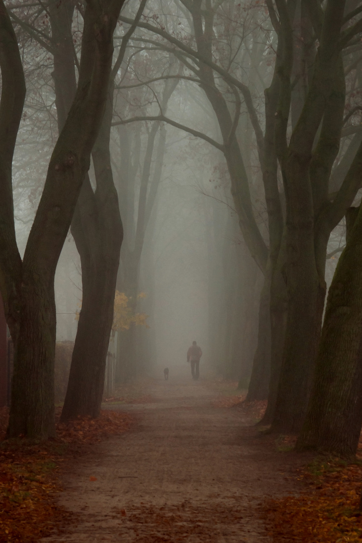 Zwei im Novembernebel