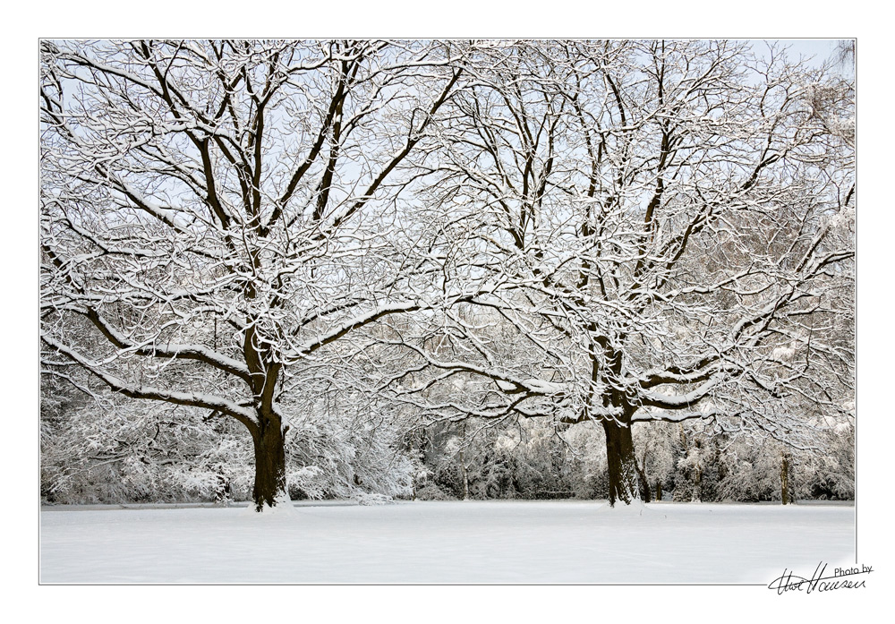 ~ Zwei im Schnee ~