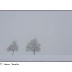 Zwei im Schnee