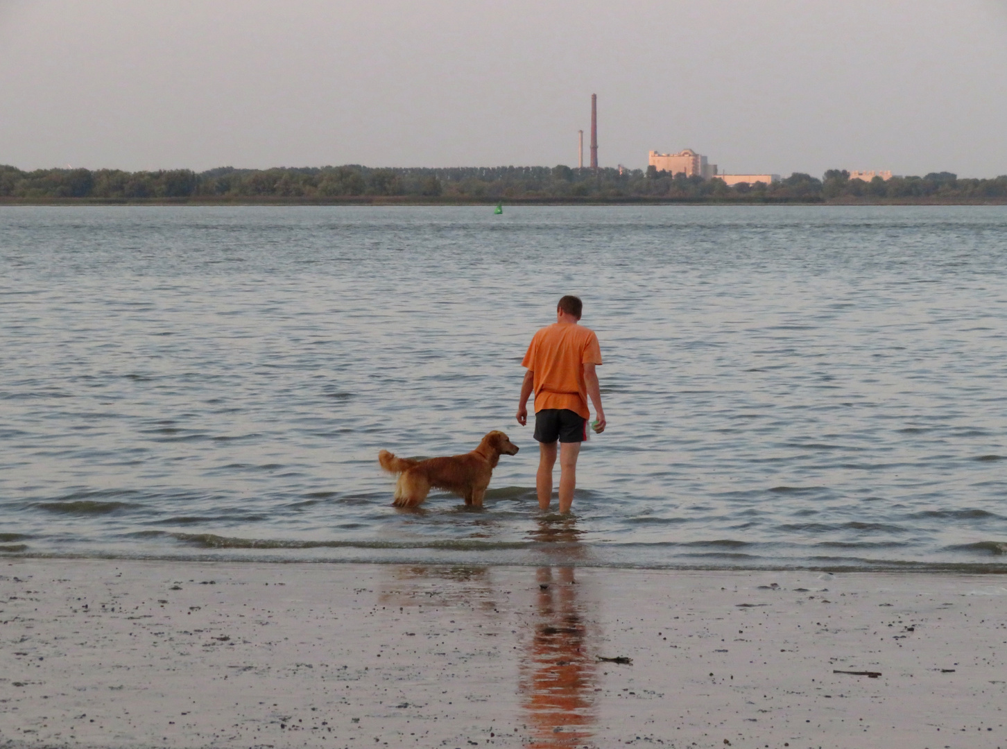 zwei im Wasser ... 