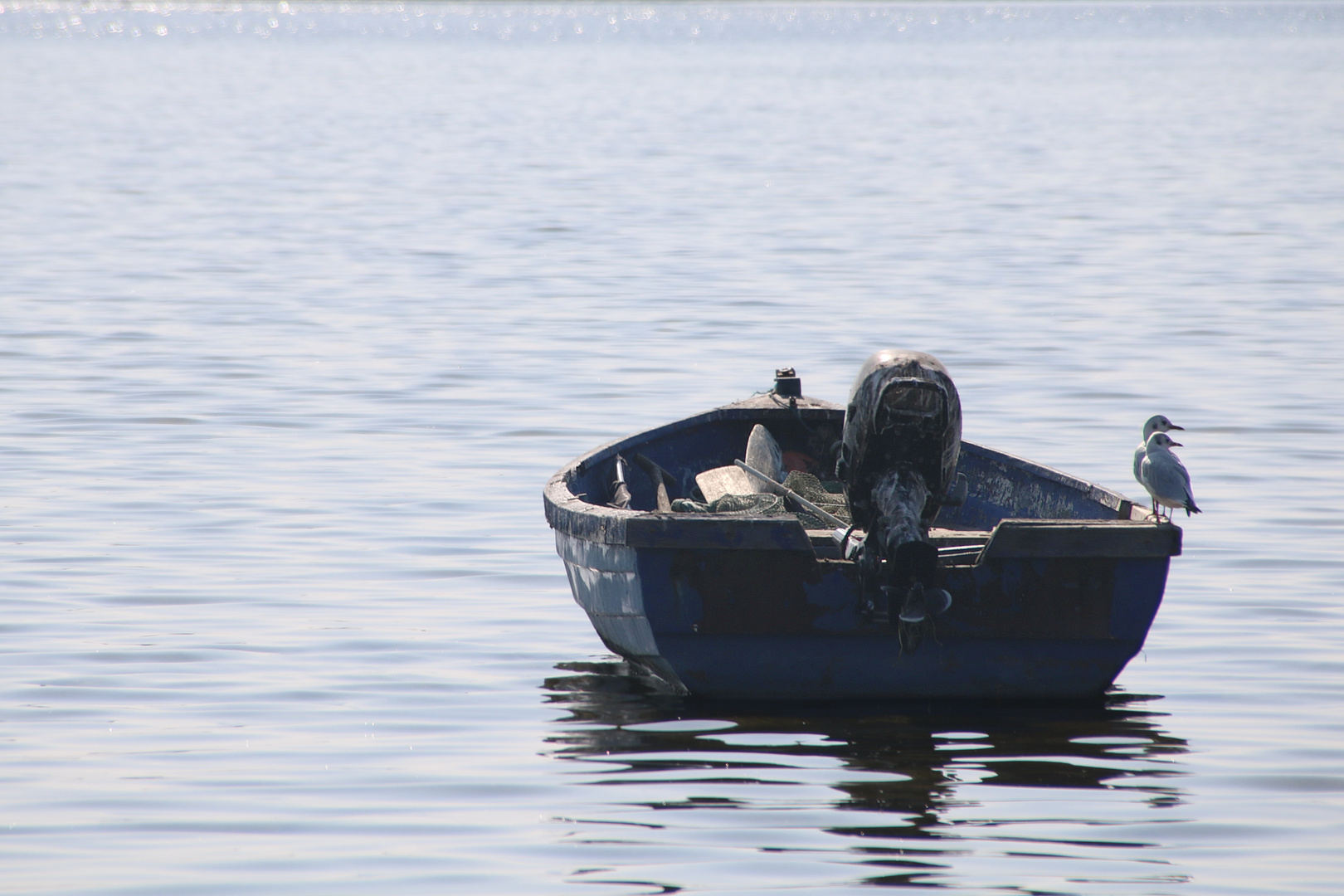 Zwei in einem Boot