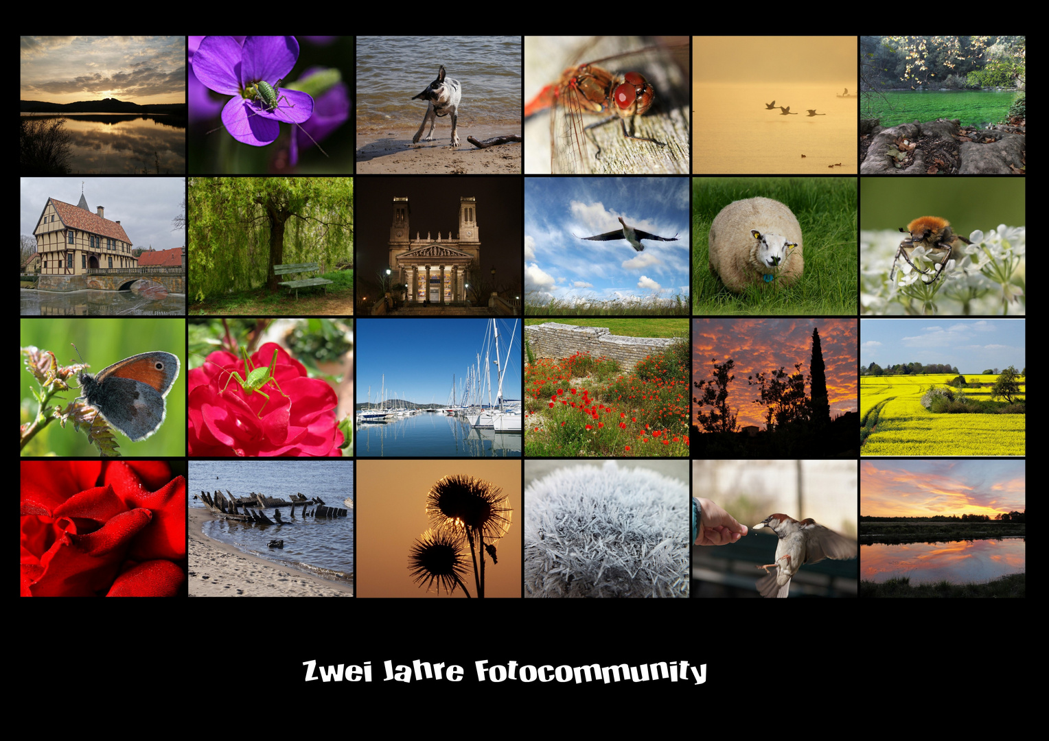 Zwei Jahre Fotocommunity