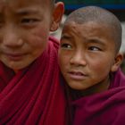 Zwei junge Mönche im Kloster Thubten Chöling Gompa 