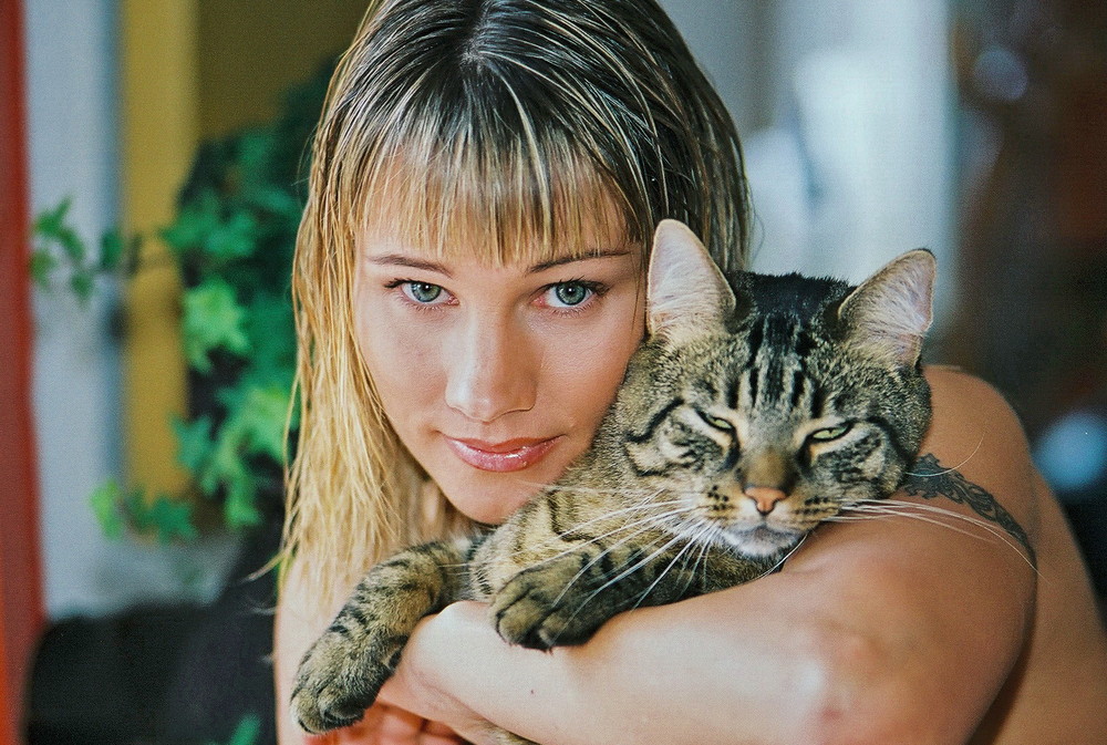 Zwei Katzen Foto & Bild tiere, tierfreundschaften, mädchen mit tieren Bilder auf